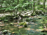krmes paradise creek preserve creek going over the rocks