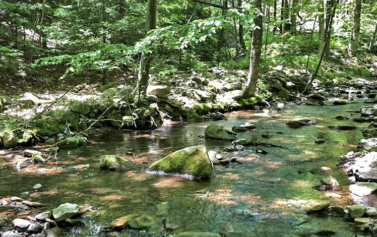 krmes paradise creek preserve creek going over the rocks