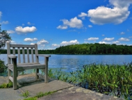 Lacawac Sanctuary chair on the shore of lake Wallenpaupack