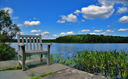 Lacawac Sanctuary chair on the shore of lake Wallenpaupack