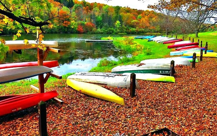 Lackawanna State Park Camping