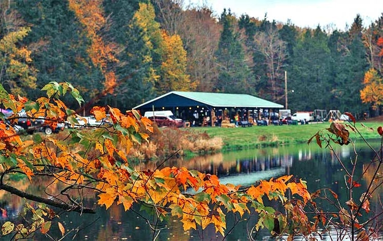 Lake Genero Campground pavilion in the fall