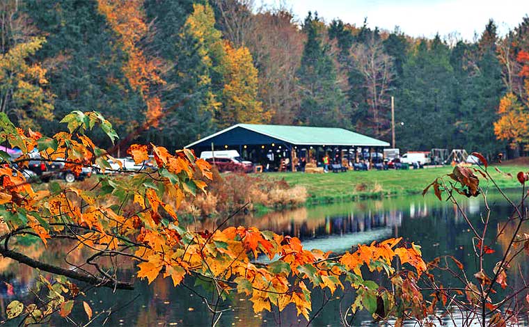 Lake Genero Campground pavilion in the fall