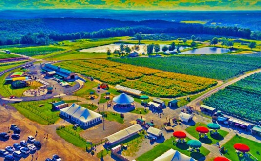 Lakeland Orchard & Cidery Aerial View