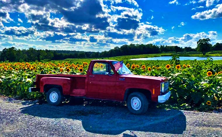 Lakeland Orchard & Cidery Truck