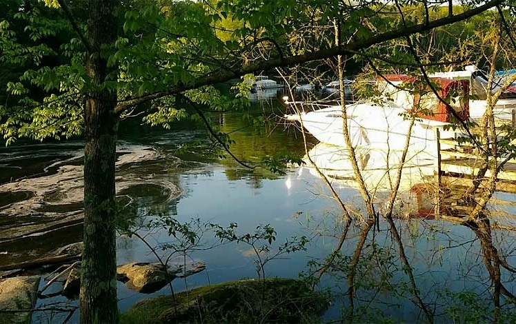 ledgedale recreation area edge of lake with boats docked