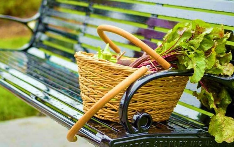 Lehighton Downtown Farmers Market bench with rhubarb basket