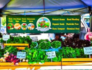 Mamakating Farmer's Market Display