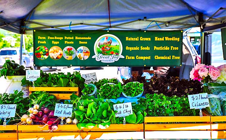 Mamakating Farmer's Market Display