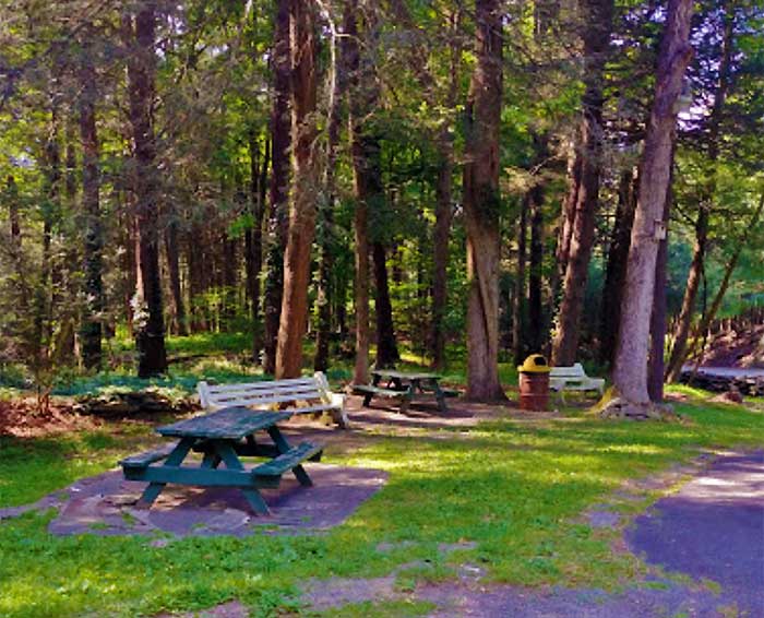 Mary Anne's Dairy Bar picnic tables