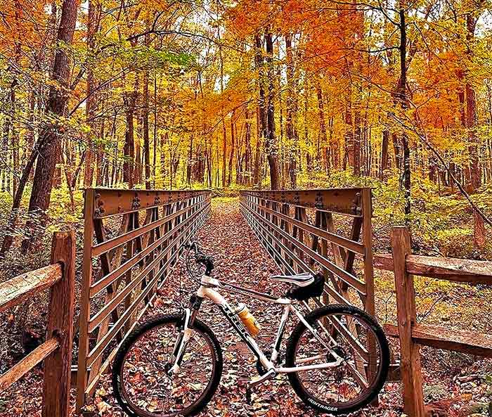 McDade Recreational Trail bike trail in fall