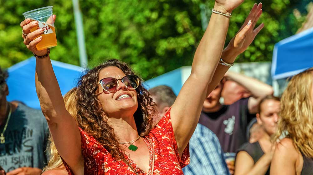 Milford Music Festival image