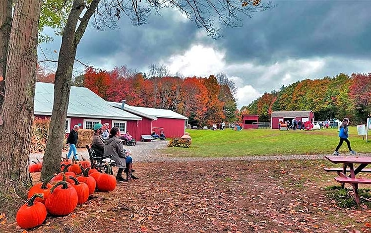 Miller’s Orchards Farm Market Exterior