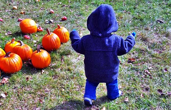 Miller’s Orchards Farm Market Toddler with Pumpkins