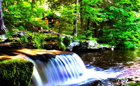 Millrift Waterfall Cabin Exterior