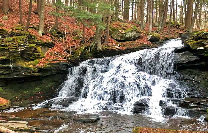 Modern Rustic 30 Acre Cabin Waterfall