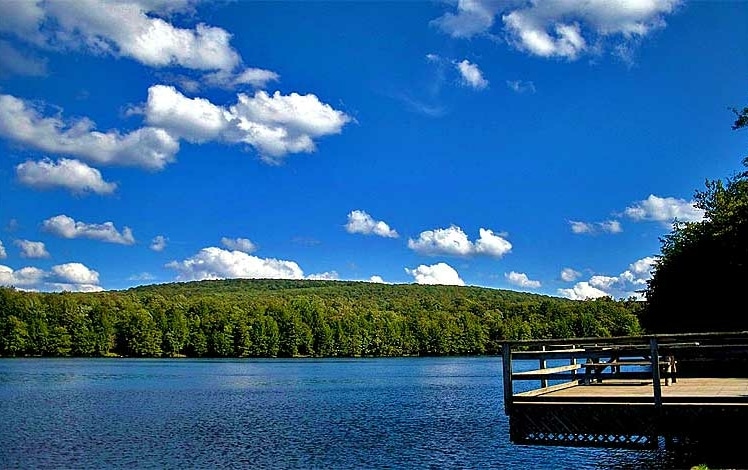 Mongaup Pond Campground Lake View