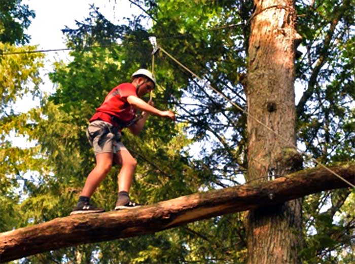 Monroe County Conservation Camp tree climber
