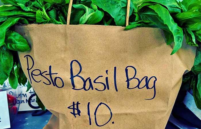 Monteleone Gardens Basil Pesto Bag