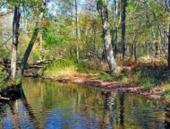 nothstein preserve creek