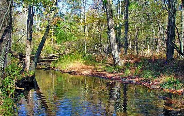 nothstein preserve creek