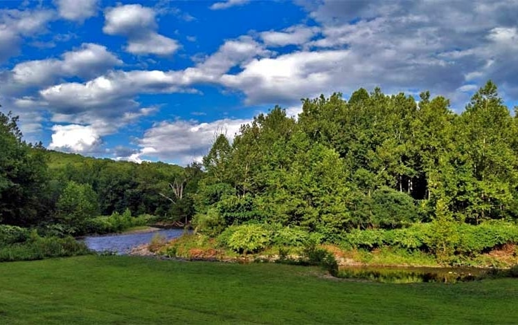 Pinebrook Park creek overlook