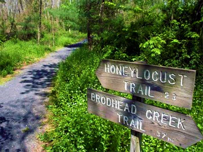 Pinebrook Park trail signage