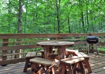 pocono cabin with forest view deck and picnic table