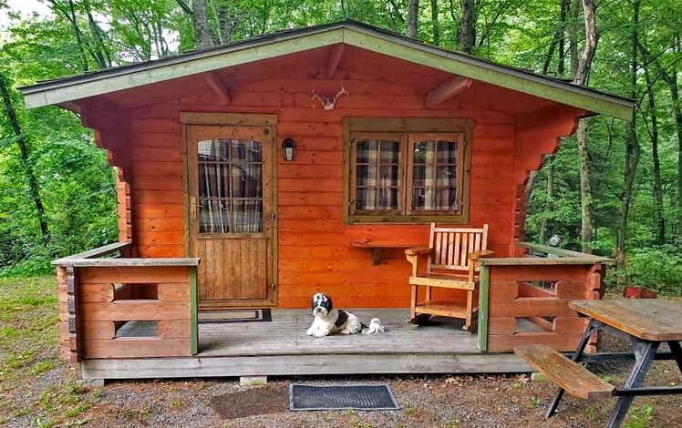 Pocono Vacation Park cabin with pup on porch