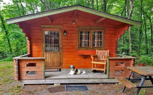 Pocono Vacation Park cabin with pup on porch