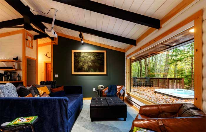 Poconos Cozy Cabin Living Room
