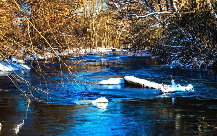 Pomeroy McMichaels Creek Nature Preserve