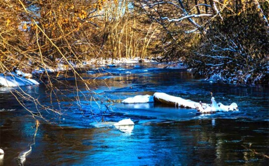 Pomeroy McMichaels Creek Nature Preserve