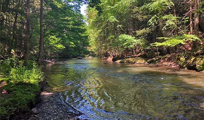 Pomeroy Nature Preserve mcmichaels creek