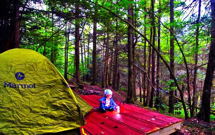 Quilted Woods Child on Platform