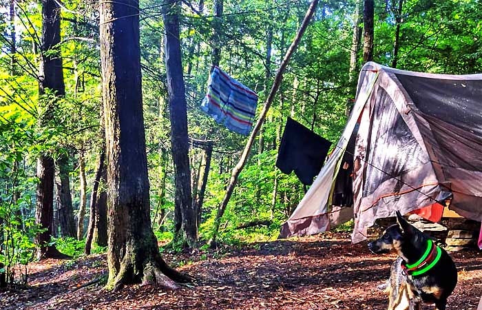 Quilted Woods Tent Site