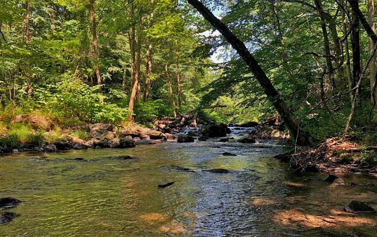 Rail Gap Nature Preserve pocono creek