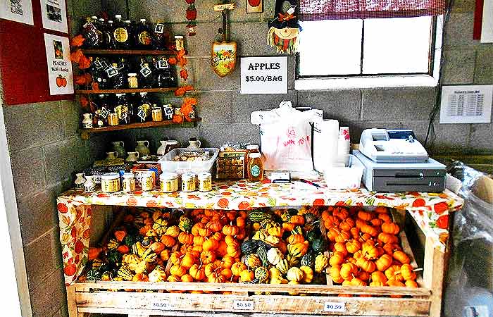 Rickard’s Cider Mill Gourds