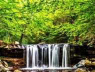 Ricketts Glen State Park Campground Waterfall