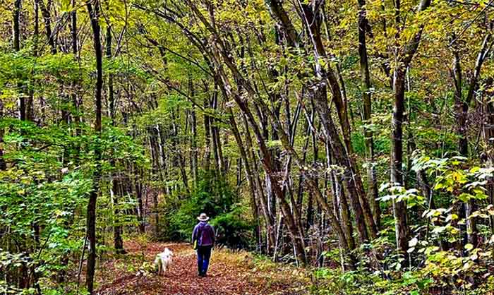 Riday's Gate Trailhead man on trail with dog
