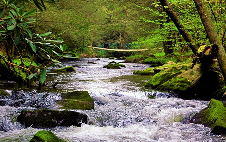 Roundstone-Camping-Resort-waterfalls-on-stream