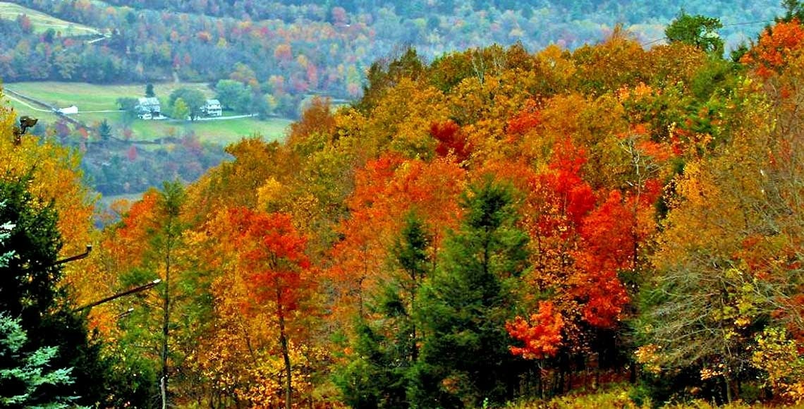 ROUTE 390 FALL FOLIAGE DRIVE hills