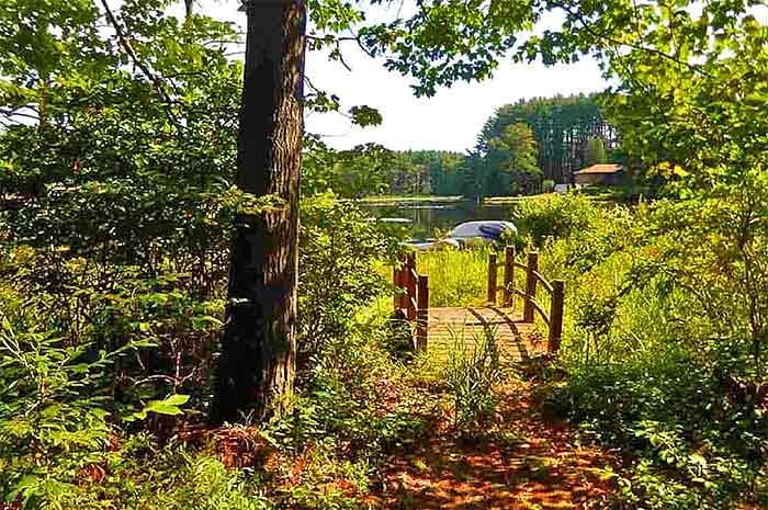 Secluded Lake House Retreat Path to Lake