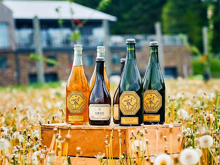 seminary hill cider bottles