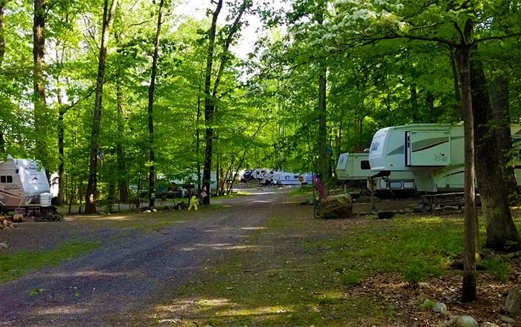 Shady Acres Campground RVs in the woods