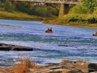 Skinner's Falls Kayakers