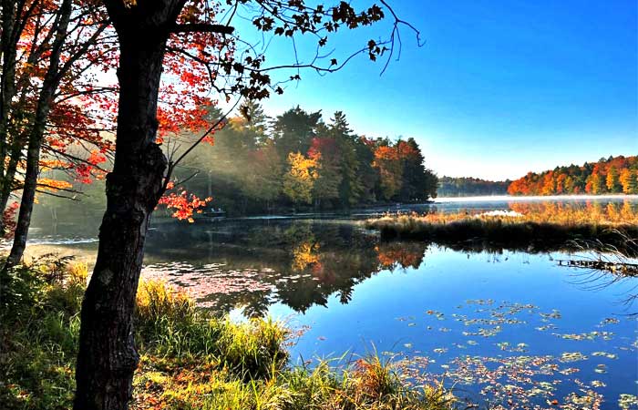 Smallwood Lake Cabin View of Lake