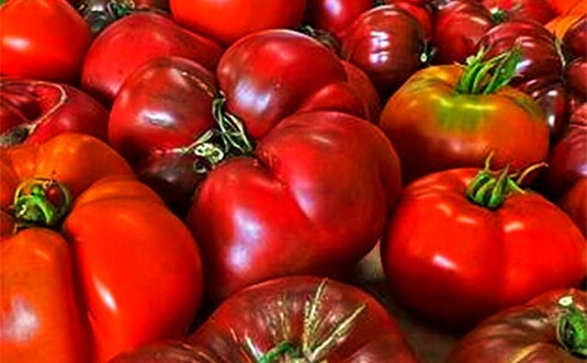 Swingle's Corner Farm Stand Tomatoes