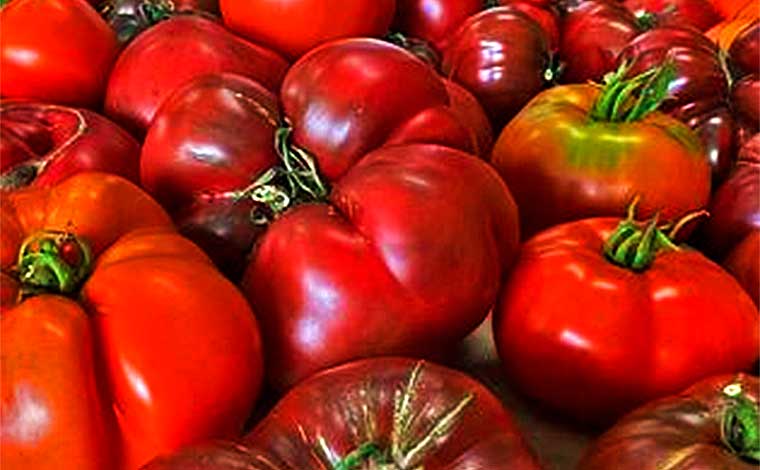 Swingle's Corner Farm Stand Tomatoes