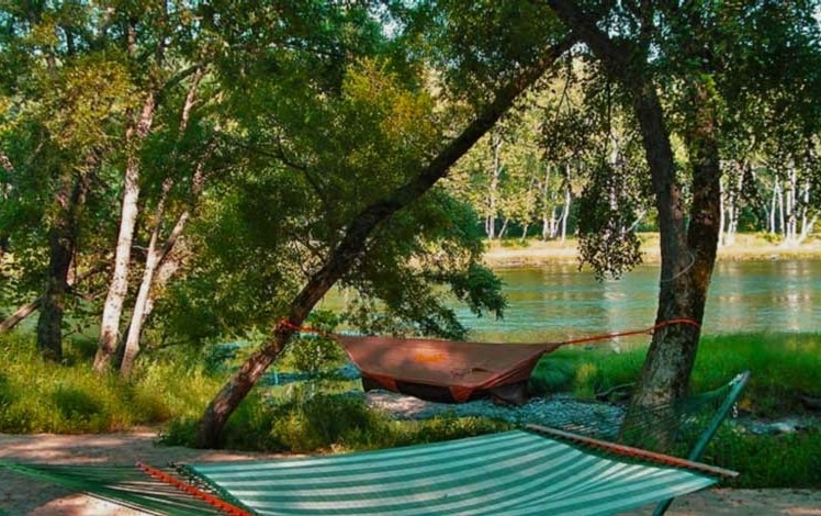 Sylvania Tree Farm hammocks at the river bank